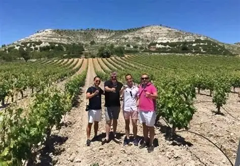 Visita a Bodegas y Viñedos Arbás (Catas y Eventos) Piñel de Arriba