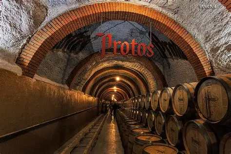 Visitar bodegas en la Ribera del Duero – Bodega Protos