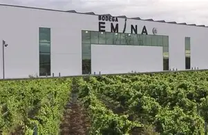 Visita a las bodegas de Emina Ribera