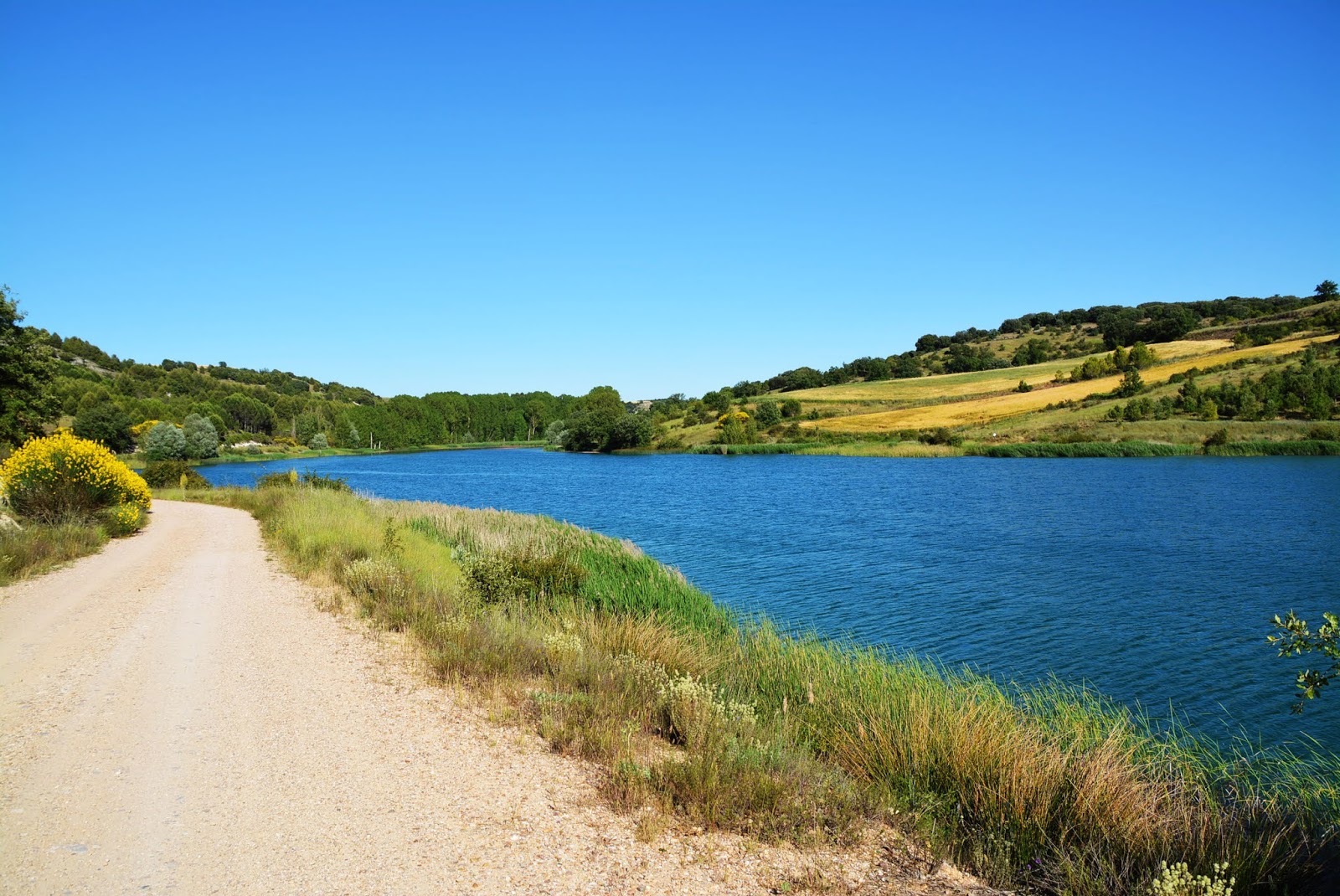 Paseo junto al embalse, merendero y pesca.