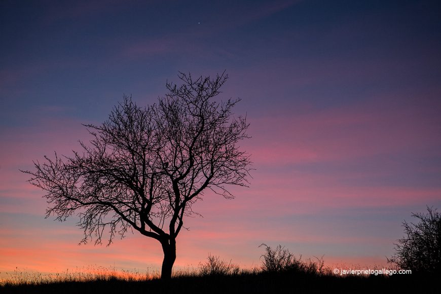 Fotografía de paisaje: amanecer o atardecer sobre los páramos y colinas.