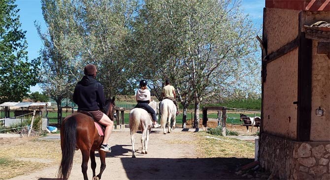 Paseo a caballo en finca o actividad ecuestre cercana (buscar proveedor local).