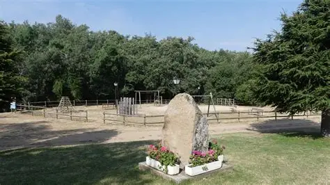 Área recreativa "La Dehesa" – Merenderos y pinares para pasar el día al aire libre.