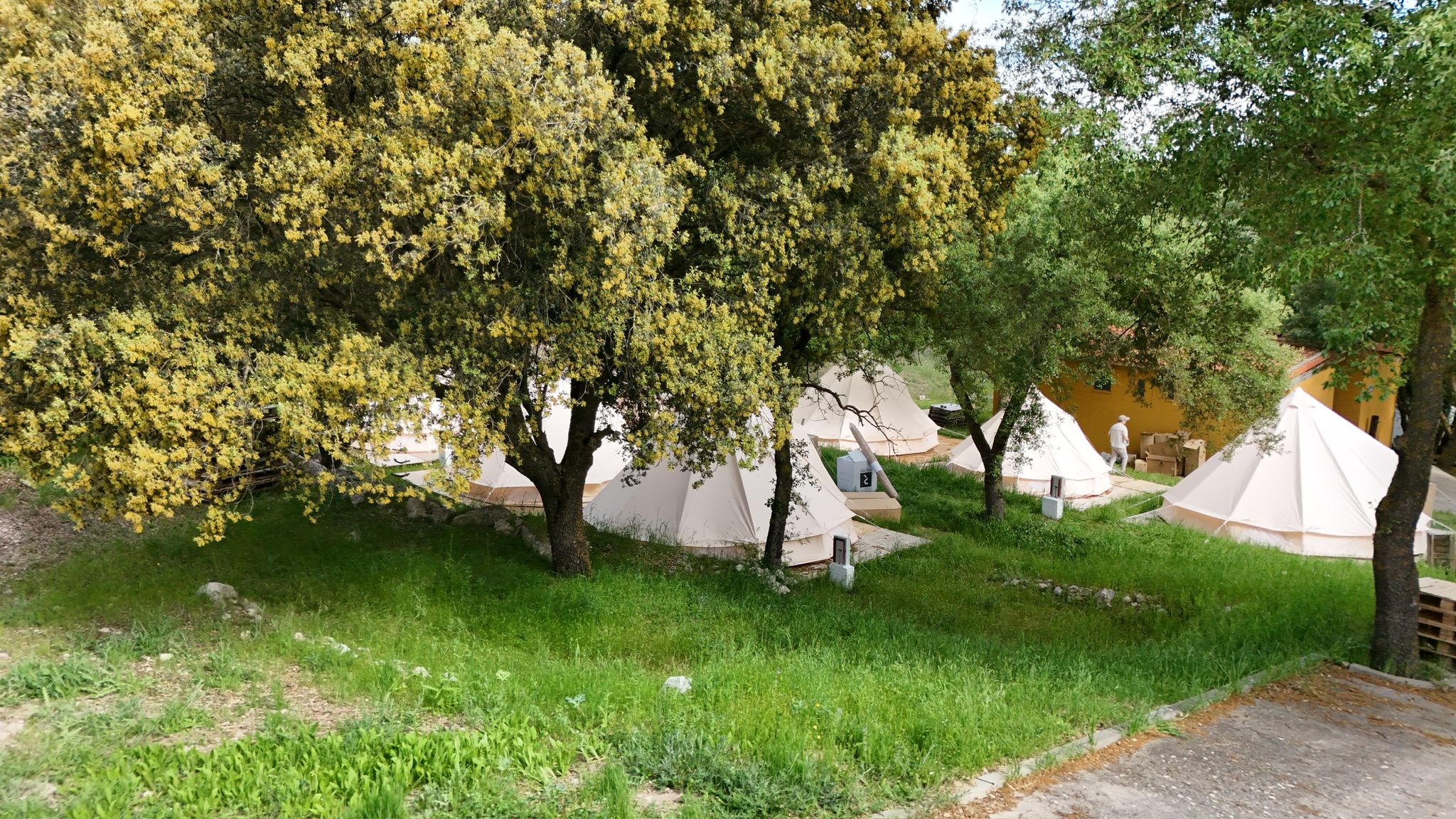 Aire libre + lectura/relax en zonas de sombra bajo encinas, olivos u otros árboles autóctonos.