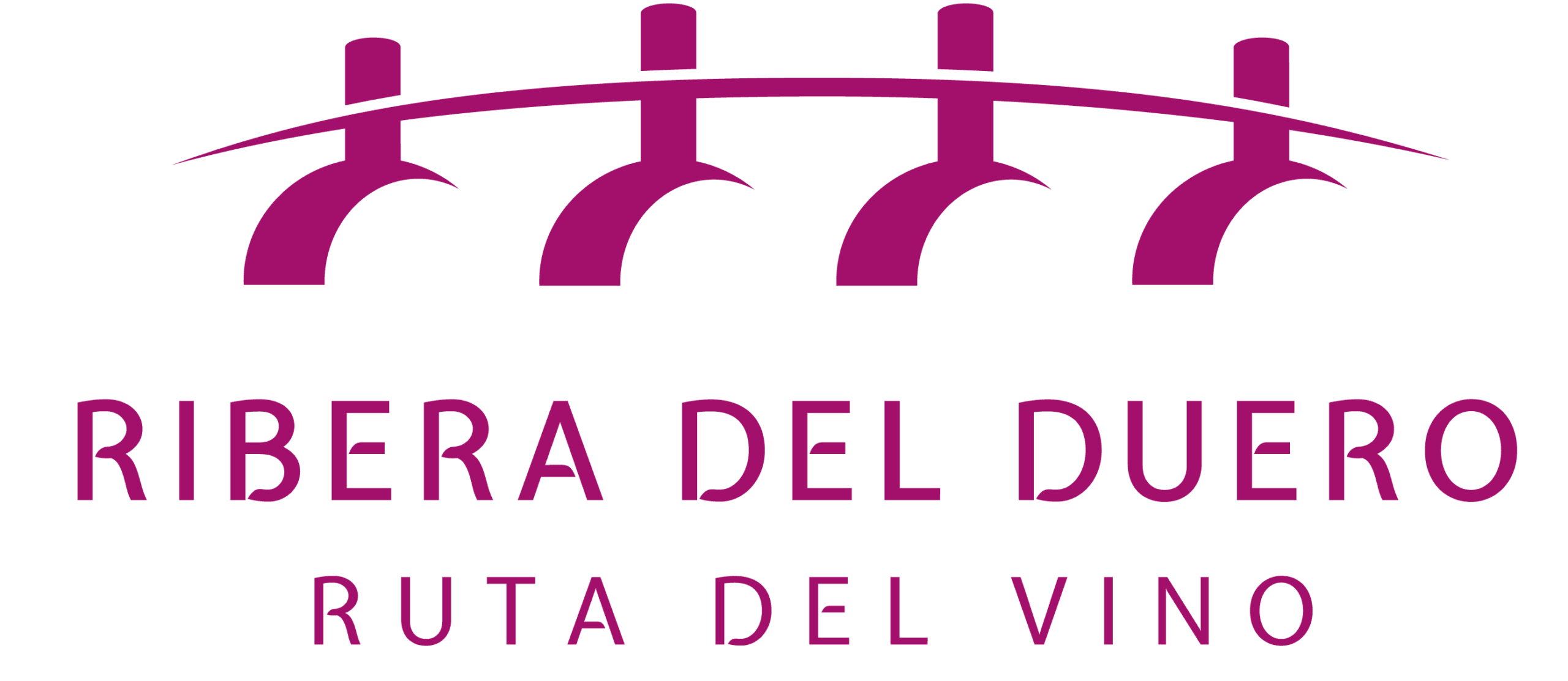 Ruta del vino + visita al viñedo + cata (zona Ribera del Duero cercana).