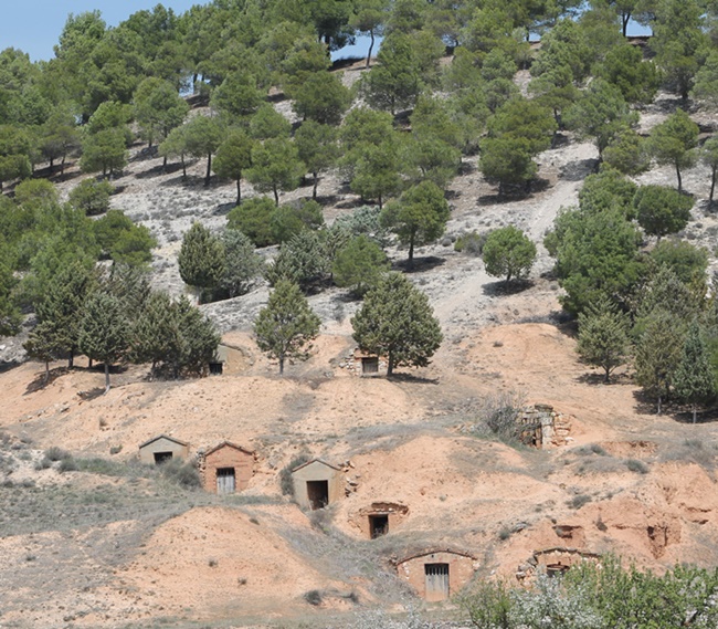 Tour por bodegas antiguas / arquitectura vinícola tradicional.