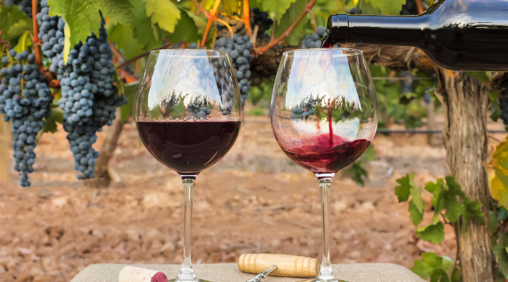 Visita a bodegas de la Ribera del Duero Bodegas Pinna Fidelis + cata de vinos.