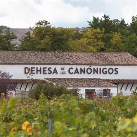 Bodega Dehesa de los Canónigos – Visitas guiadas y catas.