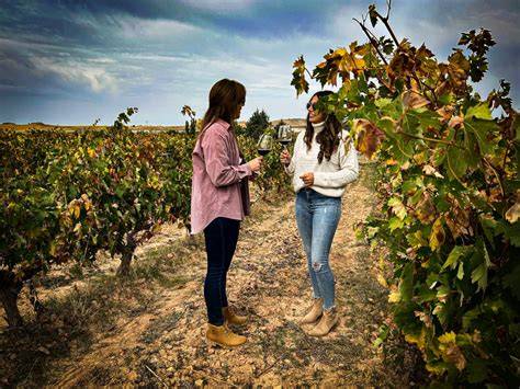 Degustación de vinos en formato "sunset" en viñedo al atardecer.