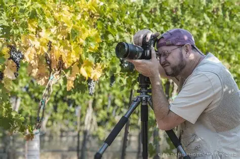 Workshop de fotografía de paisaje al atardecer con guía local.